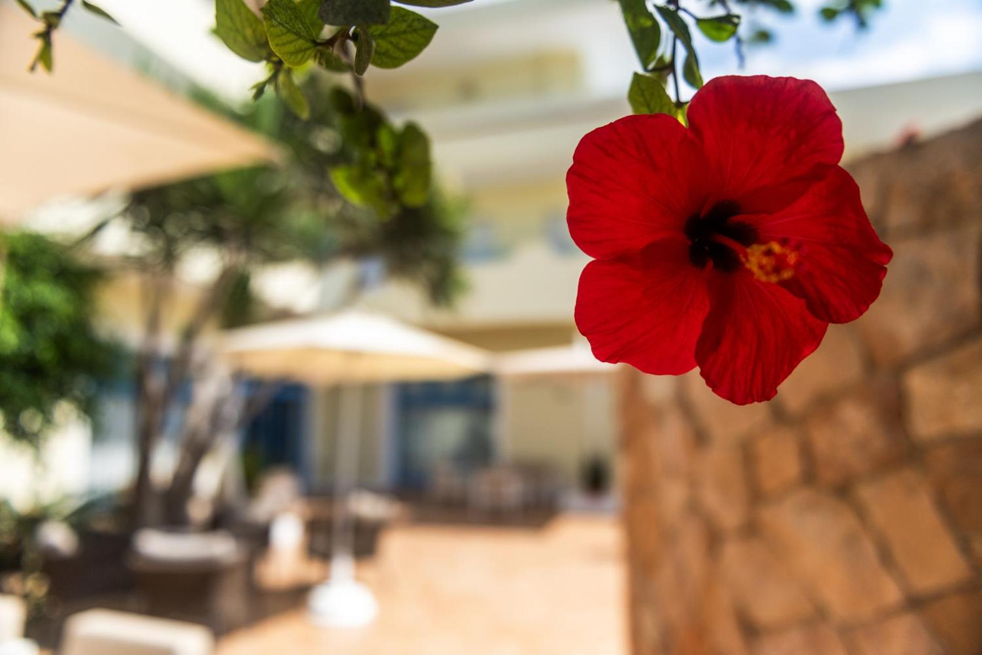 Hotel Baia Turchese LMP Eksteriør billede
